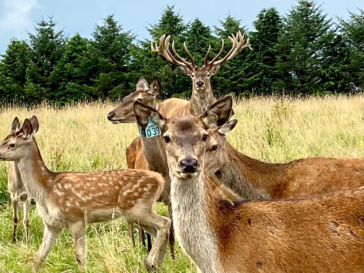 The Lodge At Muir Estate Thornhill  Esterno foto