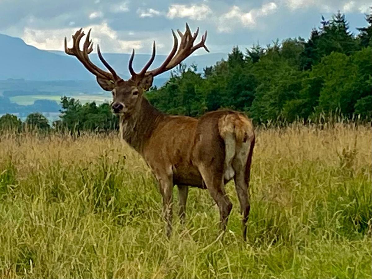 The Lodge At Muir Estate Thornhill  Esterno foto